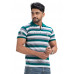 Men's Polo Striped Regular Fit T-shirt (NS65)