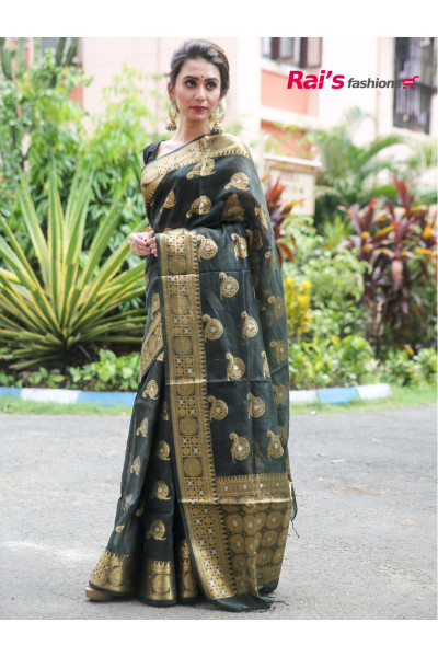 Handloom Silk Linen With Benarasi Weaving Work (RAI19621)
