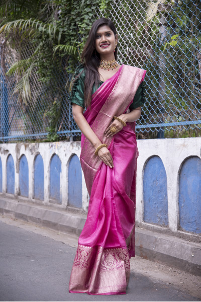 Pure Handloom Silk Linen Saree With Fine Benarasi Weaving Border And Pallu (RAI194821)